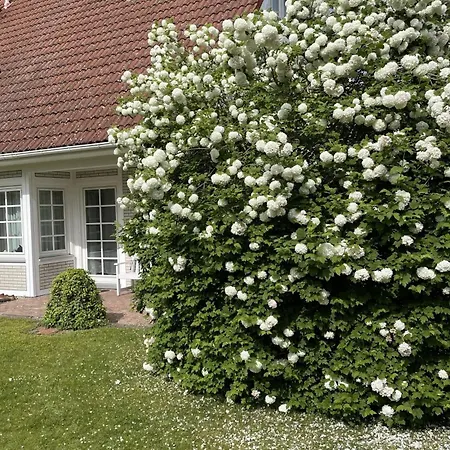 Darsser Gartenwohnung 아파트